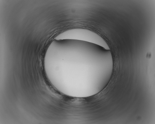 X0000114550128200911091204