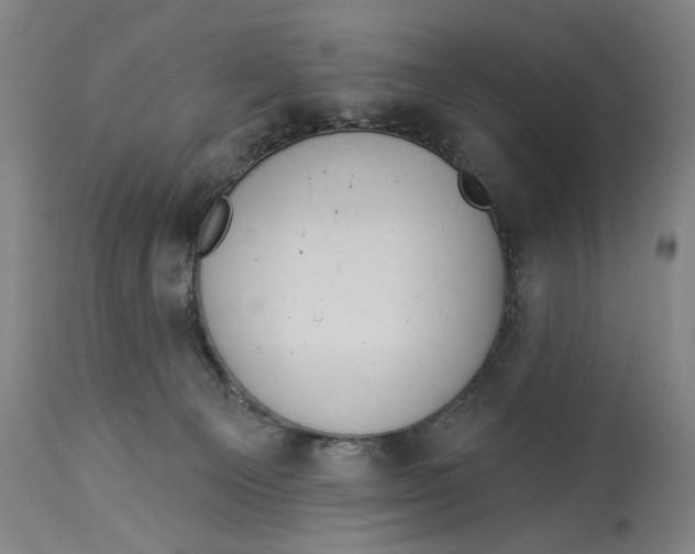 X0000114550129200911091204