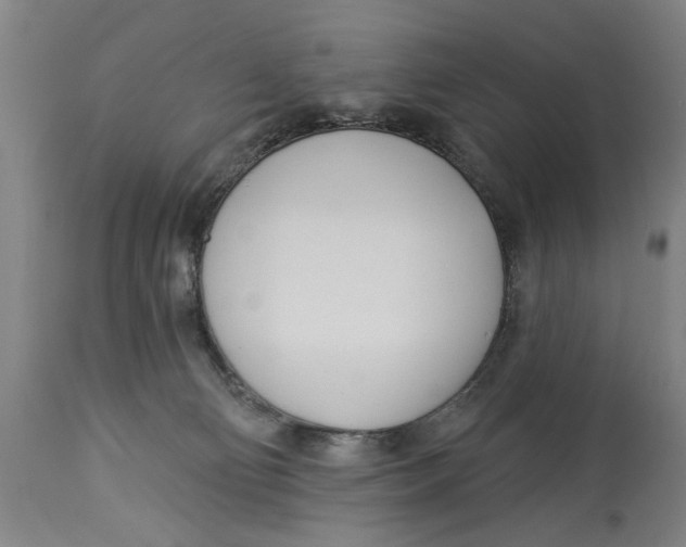 X0000114550130200911091204