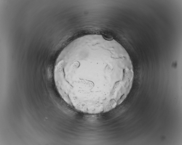 X0000114550131200911091204