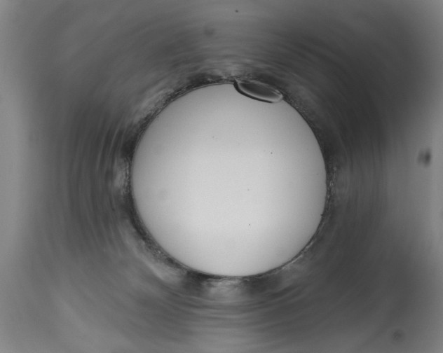 X0000114550132200911091204