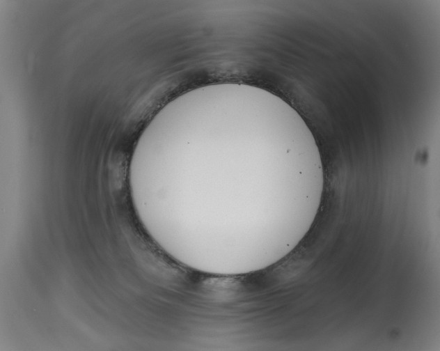 X0000114550133200911091204