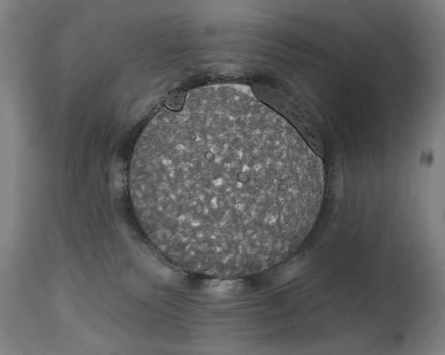 X0000114550135200911091204