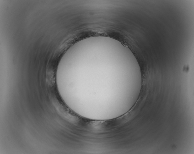 X0000114550136200911091204