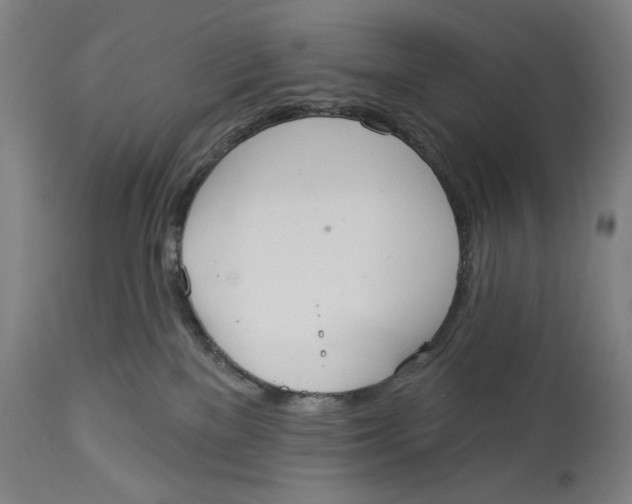 X0000114550137200911091204
