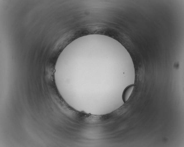 X0000114550138200911091204
