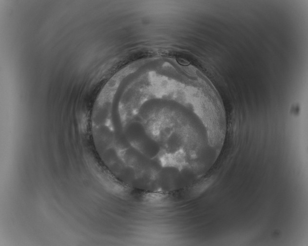 X0000114550139200911091204