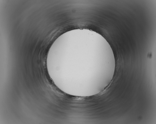 X0000114550140200911091204