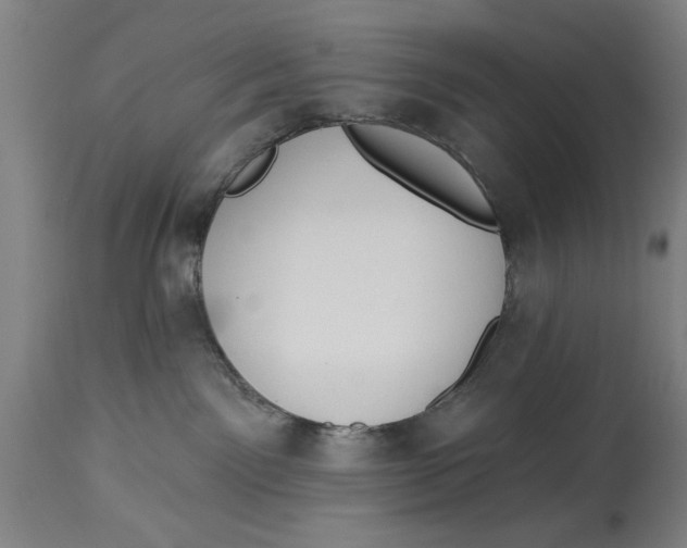 X0000114550141200911091204