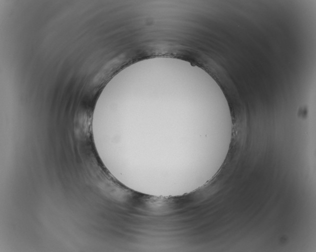 X0000114550142200911091204