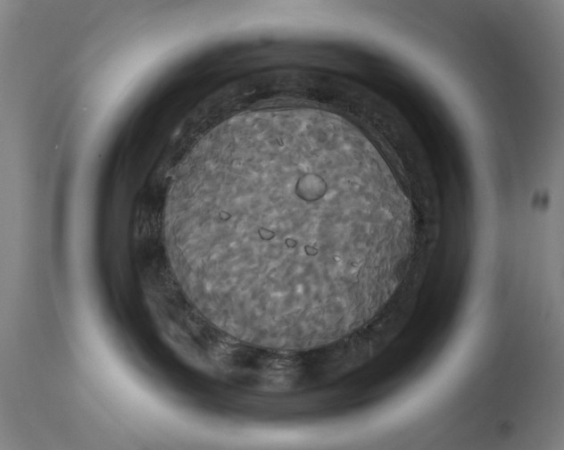 X0000114550143200911091204