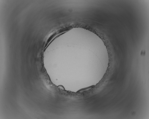X0000114550144200911091204