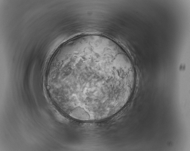 X0000114550145200911091203
