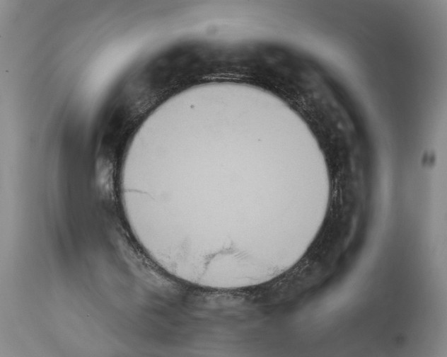 X0000114550146200911091203