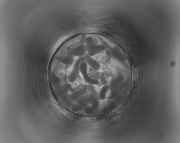 X0000114550147200911091203