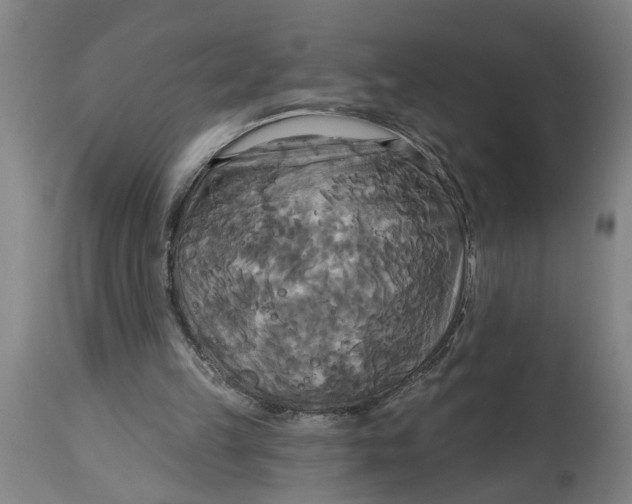 X0000114550149200911091203