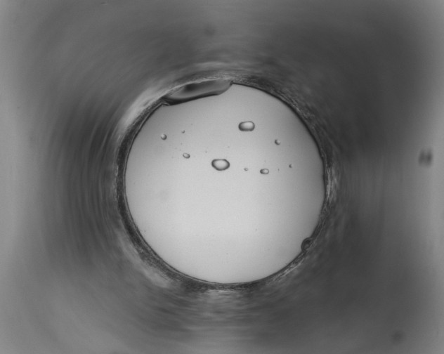 X0000114550150200911091204