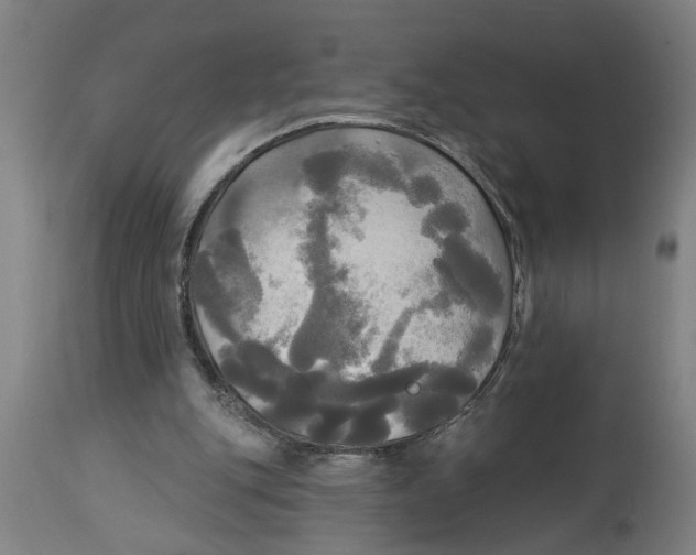 X0000114550151200911091204