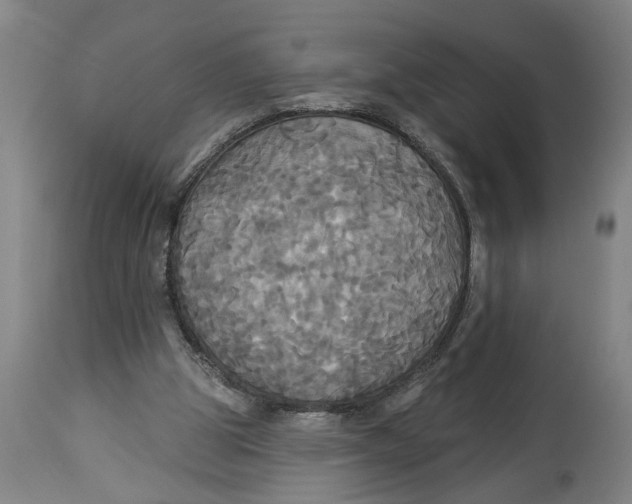 X0000114550153200911091204
