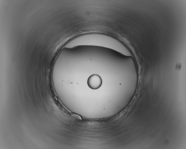 X0000114550154200911091204