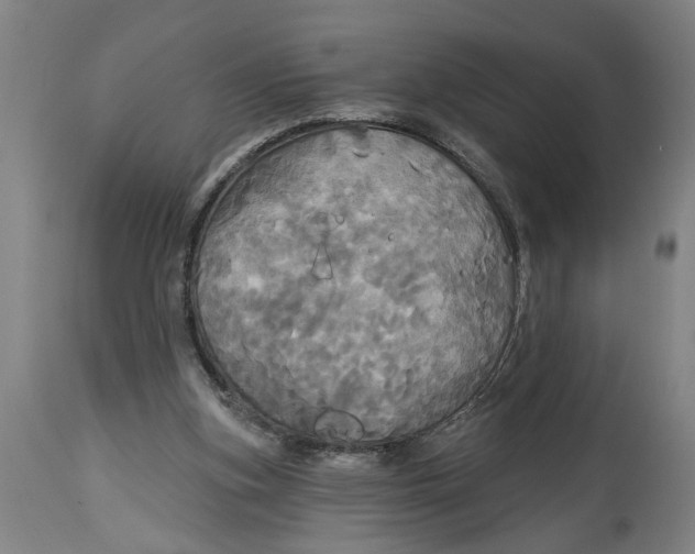 X0000114550155200911091204