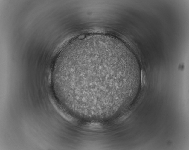 X0000114550157200911091204