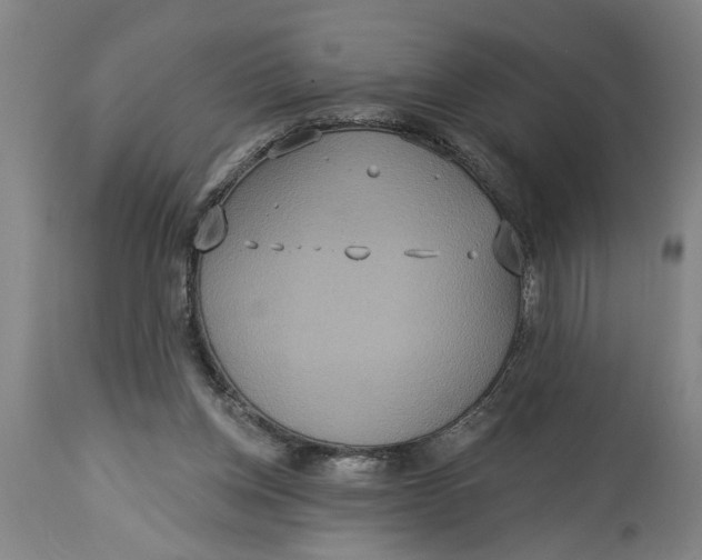 X0000114550158200911091204
