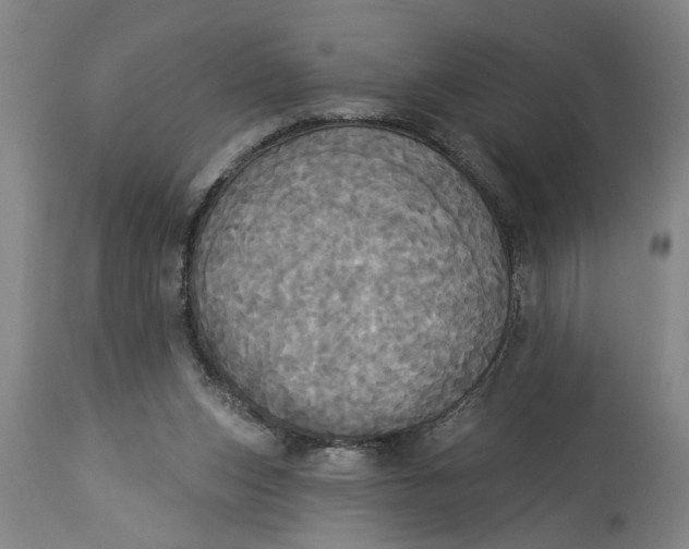 X0000114550159200911091204