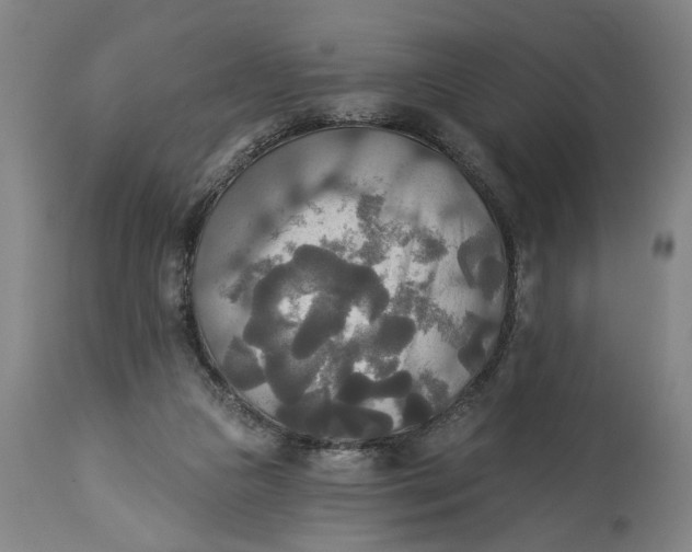 X0000114550161200911091204