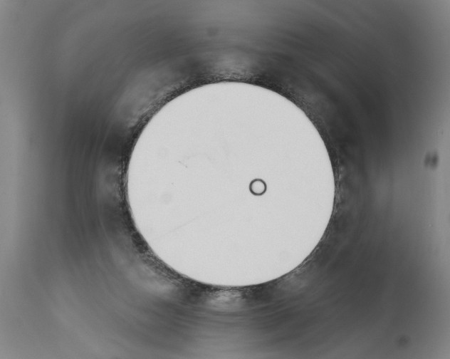 X0000114550162200911091204