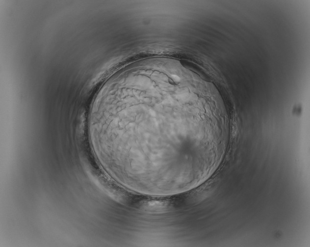 X0000114550163200911091204