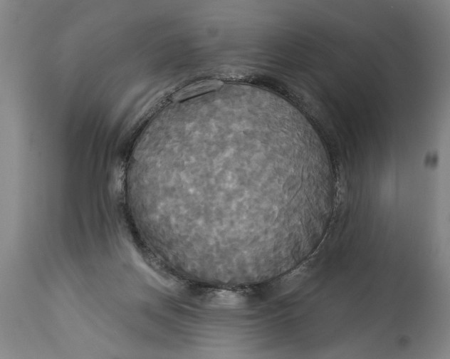 X0000114550166200911091204