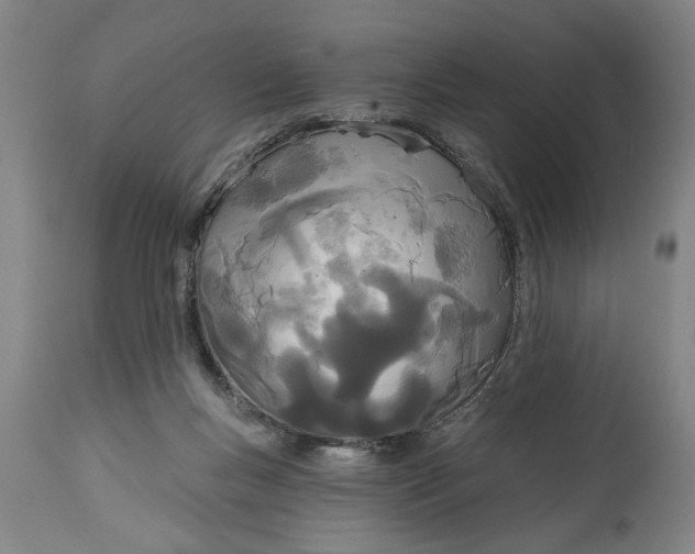 X0000114550167200911091204