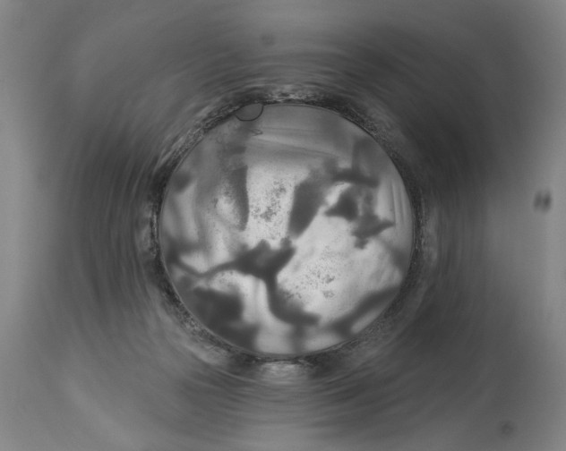 X0000114550169200911091204