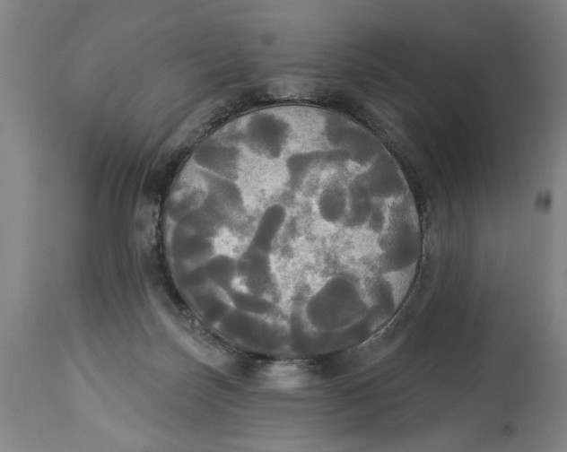 X0000114550171200911091204