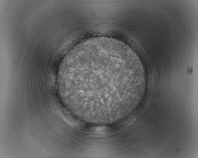 X0000114550173200911091204
