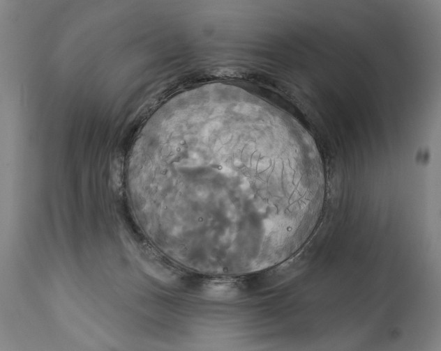 X0000114550175200911091204