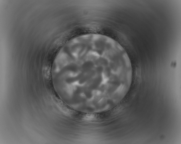 X0000114550177200911091204