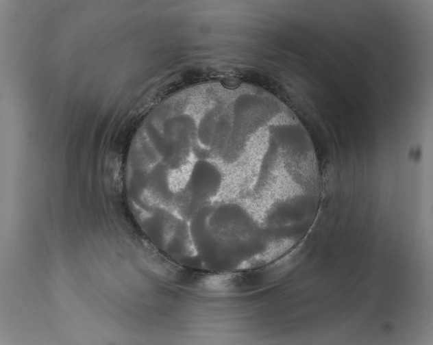 X0000114550178200911091204