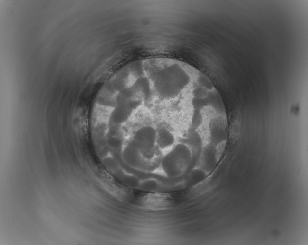 X0000114550179200911091204