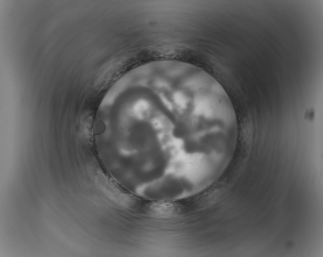 X0000114550181200911091204