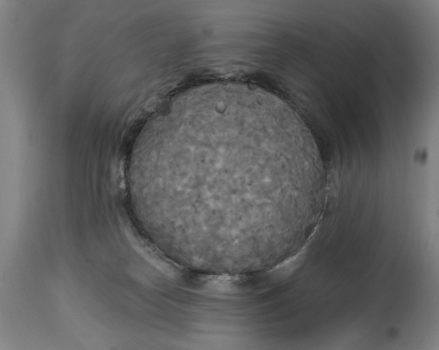 X0000114550182200911091204