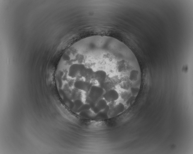 X0000114550185200911091204