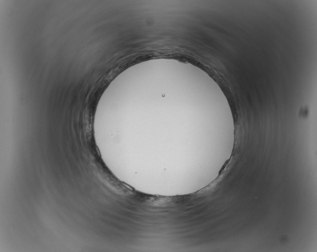 X0000114550186200911091204