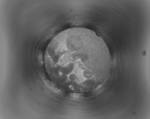 X0000114550187200911091204