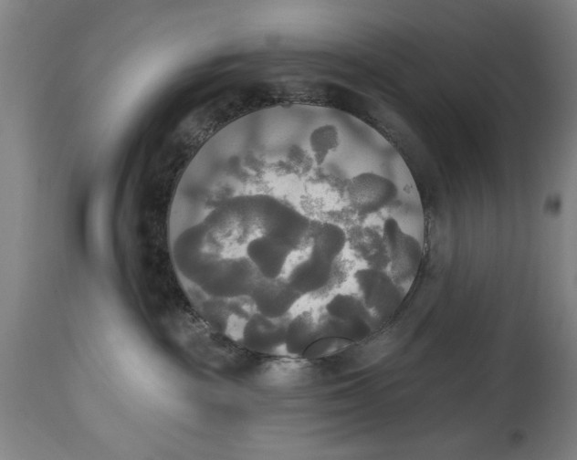 X0000114550189200911091204