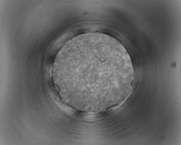 X0000114550191200911091204