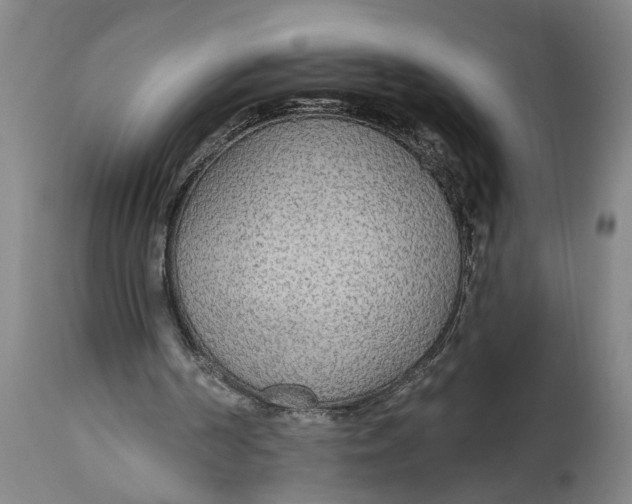 X0000114550194200911091203