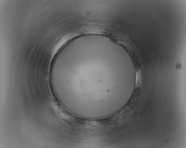 X0000114550195200911091203
