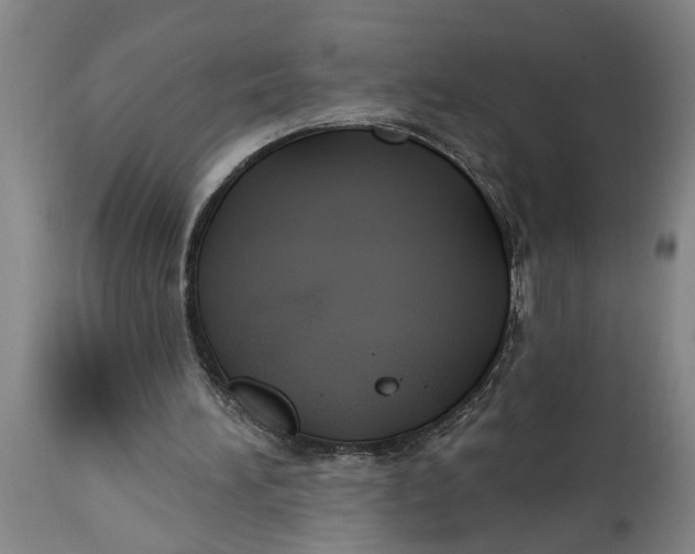 X0000114550196200911091203